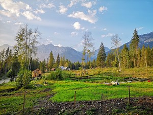 Vive y Aprende en Granjas Ecológicas