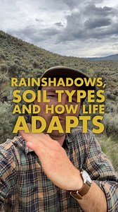 Nerdy About Nature 🌲🤓🤙 on Instagram: "Rain shadows are a phenomenon where clouds originating from bodies of water hit mountain ranges on one side releasing a majority of their moisture as rain and snow, and then by the time they cross the mountain range, there is very little moisture left to deposit, creating an arid or dry landscape. This can have a drastic impact on everything from species diversity, down to the types of soils present here. Generally, soils on the west side are known as pod
