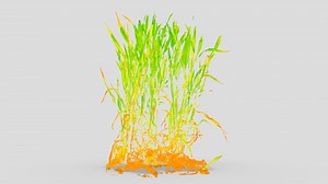 Wheat field | Health map | NDVI visualization - 3D model by Phenospex (@phenospex_nl)