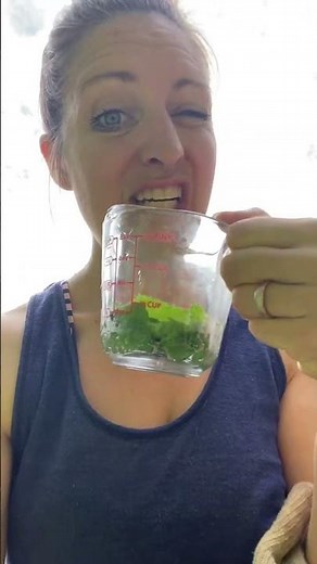 how to make mint tea from plant