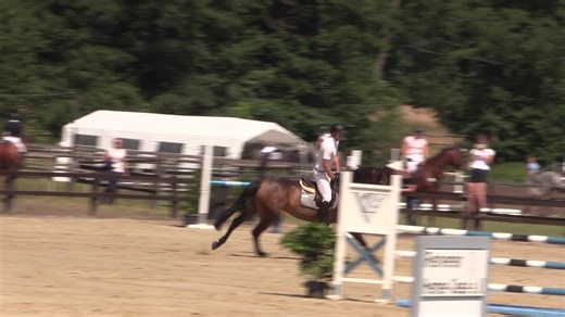 Vidéo de Schnappt Shorty 3 - Tournoi Équestre Hemer-Oese an der Edelburg 2018, Épreuve de saut d’obstacles élémentaire pour jeunes chevaux (13/07/2018)