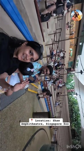 Top Attraction in Singapore Zoo 🦭 Splash Safari #sealionshow #travel #singaporezoo #explore