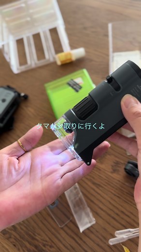 クマムシを顕微鏡で観察するASMR体験