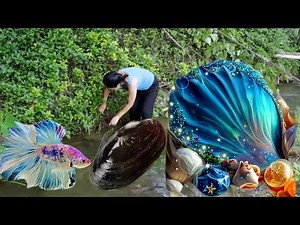 The super large and charming pearls in the giant mutated clam