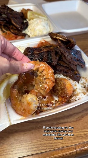 Best Hawaiian Food in Arizona! | Hapa Food Co Review