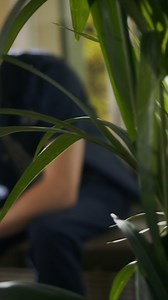 Spring Summer is in the air. #franklinandmarshall #springsummer24 #newcollection #sportswear #sportystyle #casualstyle #collegefashion | Franklin & Marshall