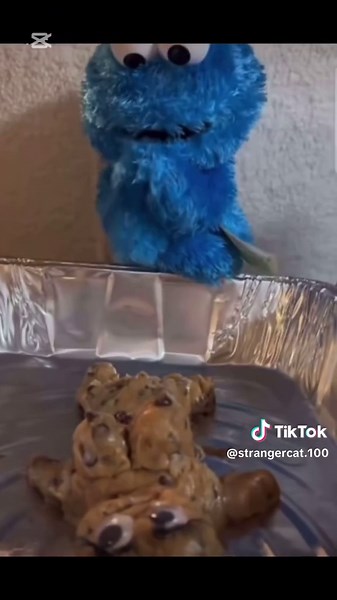 WTF Cat Memes That Will Make You Laugh!