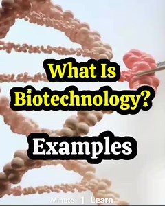 What is Biotechnology? Explained in a Quick and Engaging Way