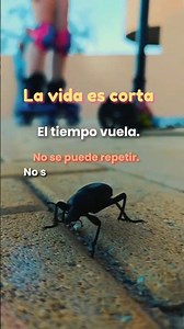 La vida es corta: disfruta cada momento HOY 🌅✨.