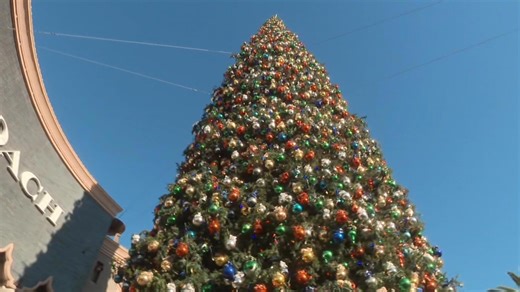 Kentucky fisheries ask for donations of dried out Christmas trees