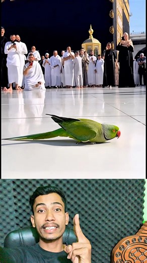 #foryoupageシforyou #facts