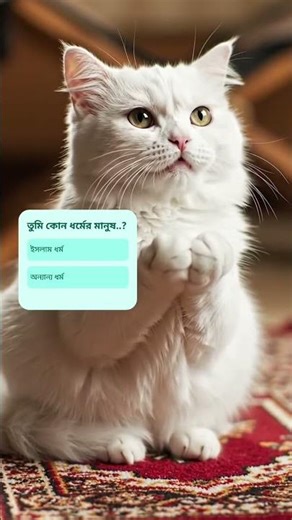 What time is Ramadan today and when is Iftar time today...! Comment and tell. #cat #motivation #love