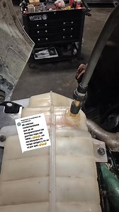 Answer to That reinol is a loch part 00 | June Riga