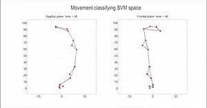 File:Subspace-Identification-and-Classification-of-Healthy-Human-Gait-pone.0065063.s001.ogv - Wikimedia Commons