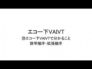 Echocardiographic VAIVT (What can be determined by echocardiographic VAIVT: stenosis mechanism an...