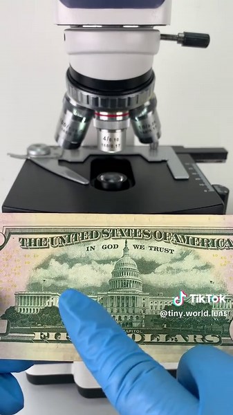 Exploring Currency Under a Microscope: Dollar Bills and More
