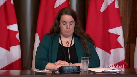 Immigration makes up largest portion of population since Confederation: Statistics Canada