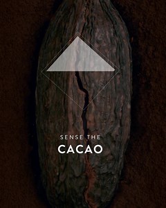 460 reactions · 24 comments | Dark in colour and with earthy undertones, Lindt Excellence 100% CacaoDark Chocolate makes for an intense tasting experience. | Lindt | Facebook