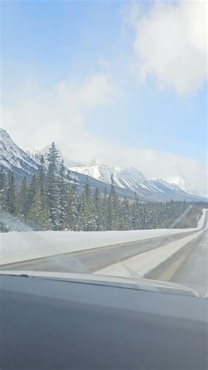 Columbia Icefield Area🇨🇦 | Snowy Peaks & Green Forest 🌲🏔️