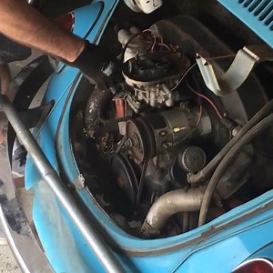 5.1K views · 353 reactions | Happy new owners with a running bug! #curiosityincyeg | Curiosity Inc. | Facebook