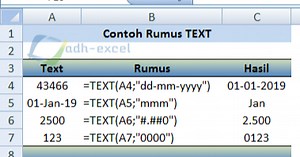 Cara Menggunakan Rumus TEXT Untuk Mengubah Format Teks Pada Microsoft Excel