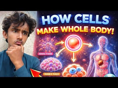 Cell make whole body. 🤨🤨is this possible: let's check💯💯🔥