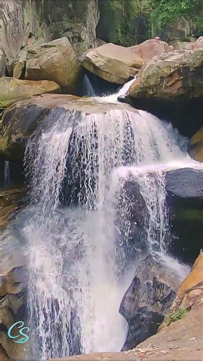 Stress Rising? 15 Seconds Waterfall Magic 🌿