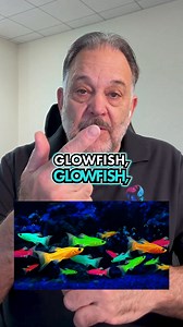 67K views · 964 reactions | The Hottest Fish in Stores Glowfish come...