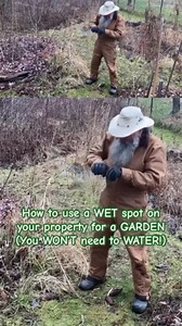 Building the Soil and Making Use of a Wet Spot on Your Property