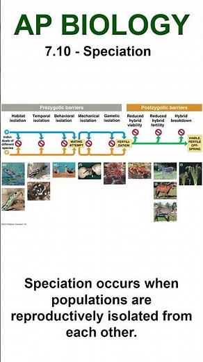 AP Bio - 7.10 Reproductive Isolation #apbiology #natural selection #apbiounit7