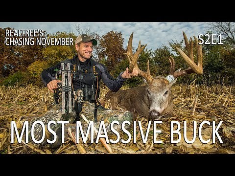 Most Massive Buck Ever, Public Buck Nest | Chasing November S2E1