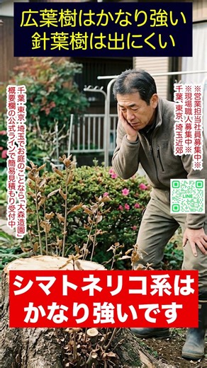“切ったのに復活する木”の共通点とは？ #shorts #庭師