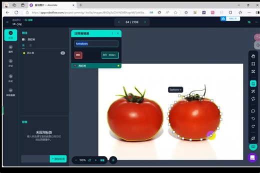 使用roboflow网站进行图像分割--最好用，没有之一
