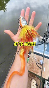 Dkam Fishing | MONSTER LURE catches a MONSTER FISH 👀😱😱 // #pike #pikefishing #pesca #fiske #predatorfishing #musky #muskyfishing #esox #bassfishing... | Instagram