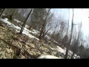 Crazy! Grouse hunting English Pointer, wearing GoPro.m4v