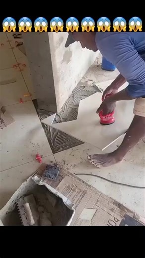 #diy #amazing | Animal Traps