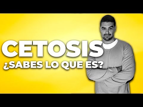 👉Qué es y para que sirve LA CETOSIS