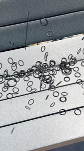 3.1K views · 25 reactions | What is one thing that every Viega...