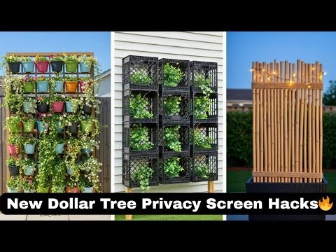 Dollar Tree DIY Privacy Screen Hacks That Transformed My Backyard | 2026 Garden Hacks.
