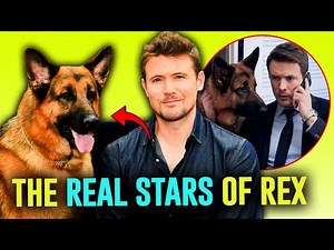 The Dogs Who Played Rex — TV’s Smartest German Shepherds