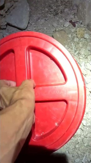 A pair of rattlesnakes found at a home