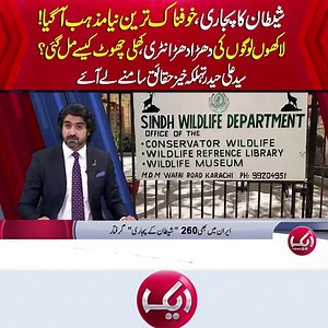 Yeah sub kuch Islam se dory or tableg ke na hoony k vaja se he or internet ke galat use ke vaja he Allah sy doa he k humy imane ke mout nseeb Ho amen | Muhammad Sohailakhtar Cheema