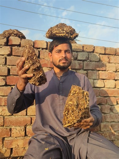 #foryou #🤣🤣🤣 @Zeeshan💔Bhatti