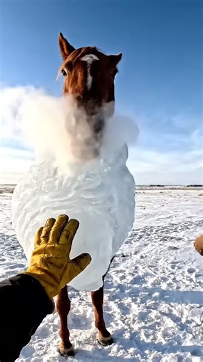 A Breath of Life in the Big Sky | DB Production