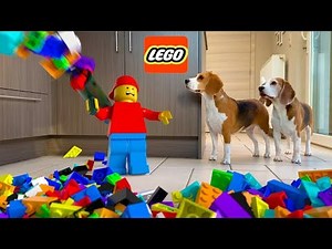 Dogs vs LEGO Guy in REAL LIFE Animation!