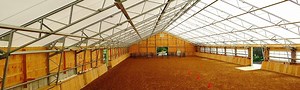 Fabric Covered Horse Arenas | Covered Riding Structures