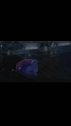 #aviciitribute #aviciiwaitingforlove #aviciifans #aviciithenights #aviciiforever #aviciimusic #timbergling #avicii