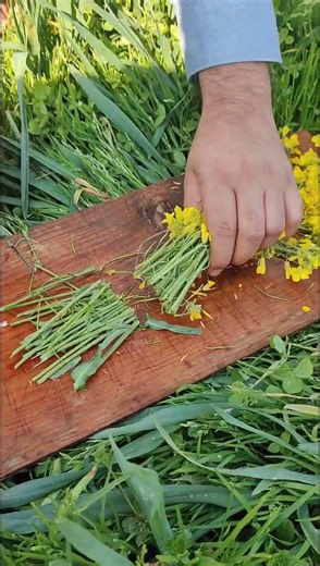 TL 71002001 mini rotary tillage and ridging all-in three hundred eight tree 🌴