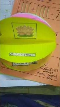 pp2 school 🏫 project#So happy to share this PP2 project work!