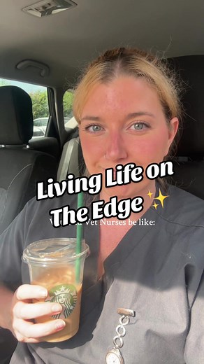 Life as a Vet Nurse: Real Experiences and Relatable Moments